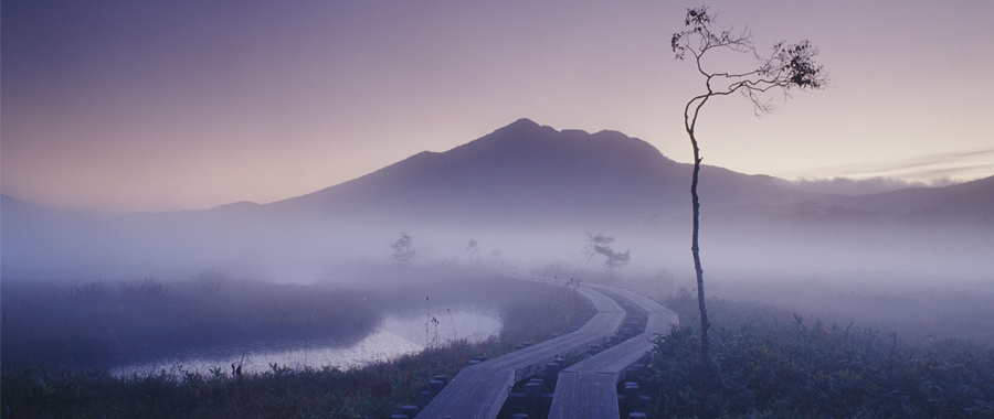 白川部利夫の 尾瀬の写真と情報